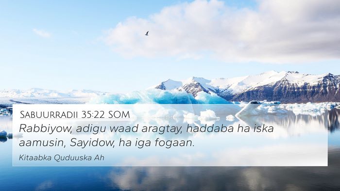 Sabuurradii 35:22 SOM Bible Verse Image