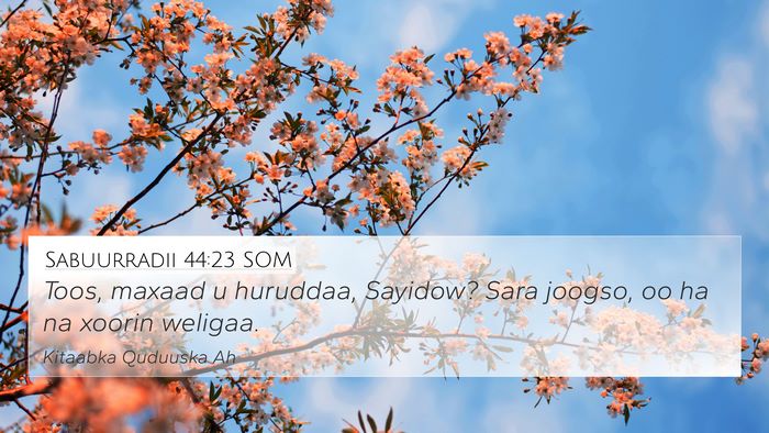 Sabuurradii 44:23 SOM Bible Verse Image