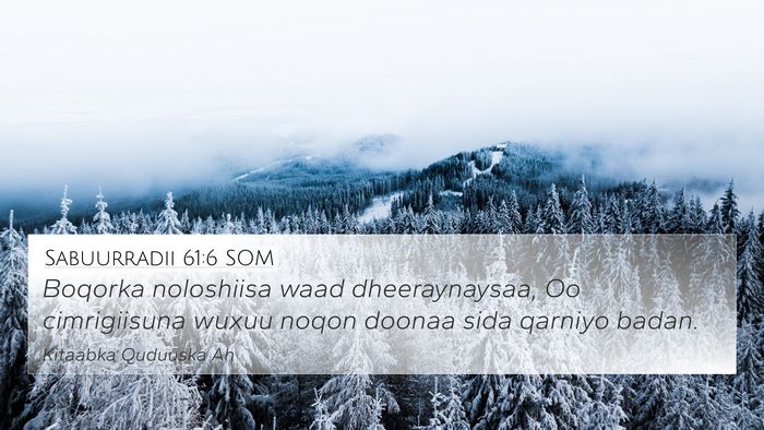 Sabuurradii 61:6 SOM 4K Wallpaper - Boqorka noloshiisa waad dheeraynaysaa, Oo - 4K Wallpaper Bible Verse
