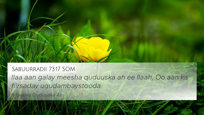 Sabuurradii 73:17 SOM Bible Verse Image
