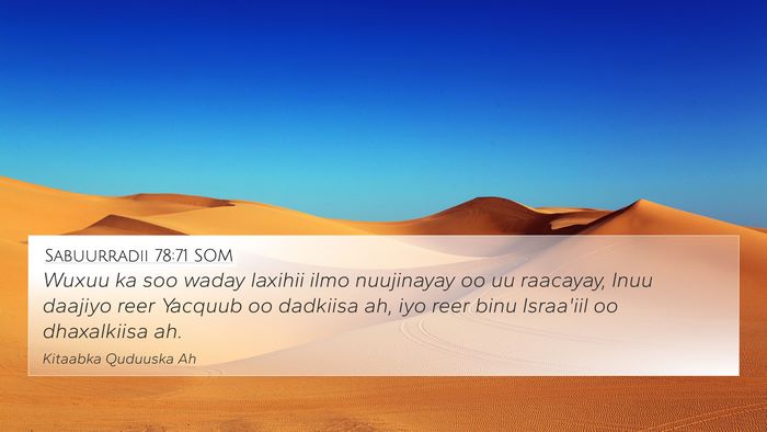 Sabuurradii 78:71 SOM Bible Verse Image
