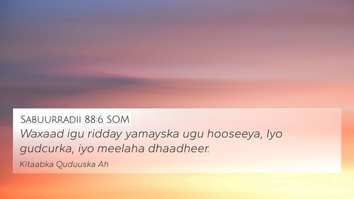 Sabuurradii 88:6 SOM Bible Verse Image