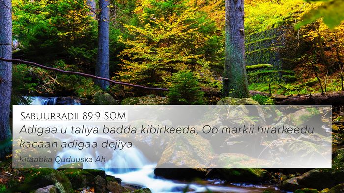 Sabuurradii 89:9 SOM Bible Verse Image