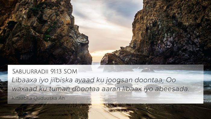 Sabuurradii 91:13 SOM Bible Verse Image