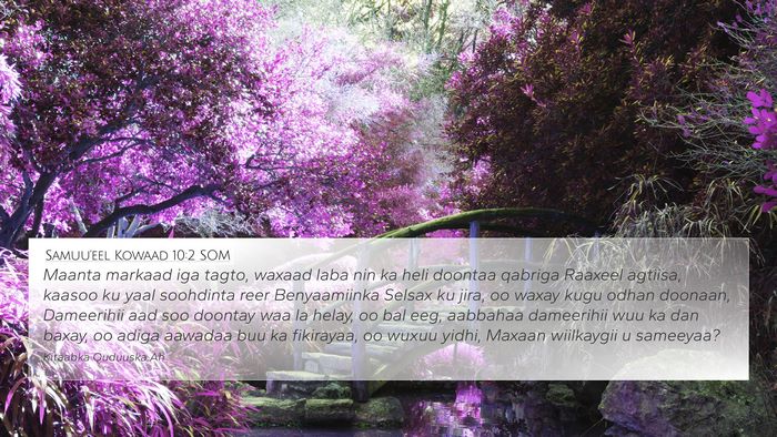 Samuu'eel Kowaad 10:2 SOM Bible Verse Image