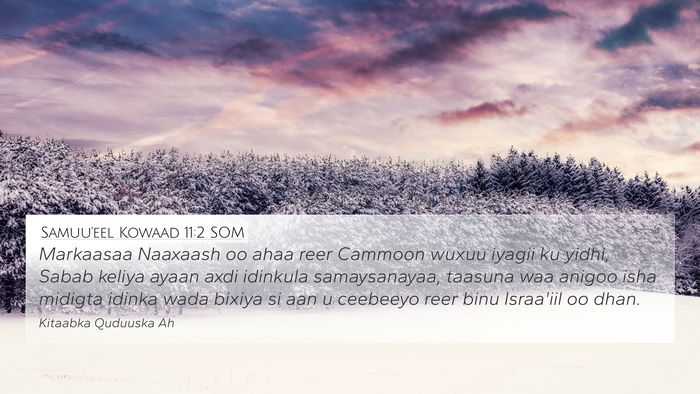 Samuu'eel Kowaad 11:2 SOM Bible Verse Image