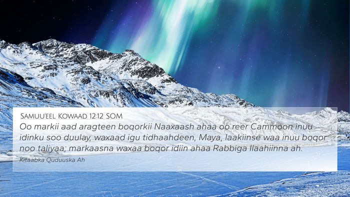 Samuu'eel Kowaad 12:12 SOM Bible Verse Image