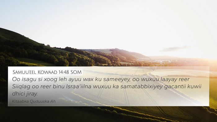 Samuu'eel Kowaad 14:48 SOM Bible Verse Image