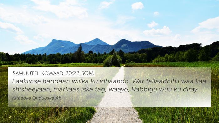 Samuu'eel Kowaad 20:22 SOM Bible Verse Image