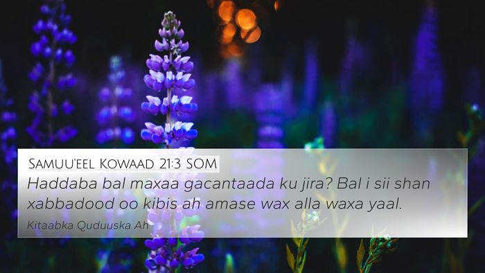 Samuu'eel Kowaad 21:3 SOM Bible Verse Image