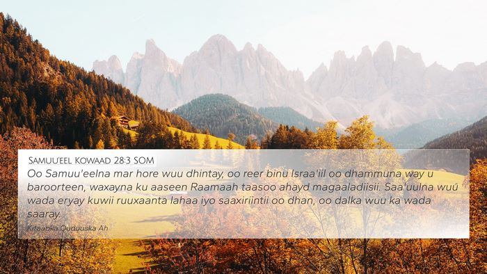 Samuu'eel Kowaad 28:3 SOM Bible Verse Image