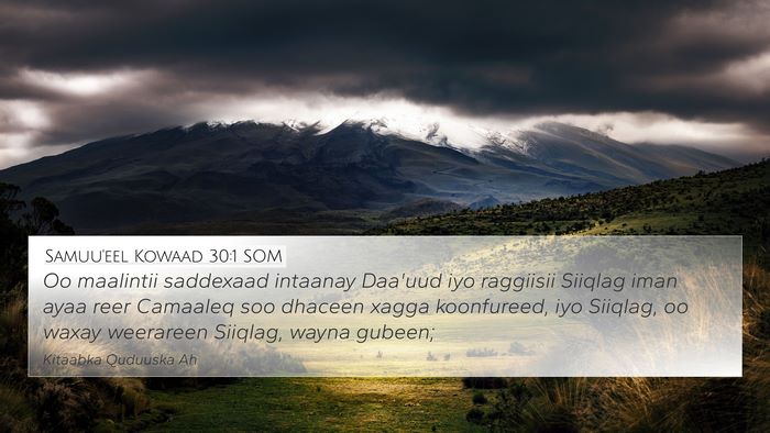 Samuu'eel Kowaad 30:1 SOM Bible Verse Image