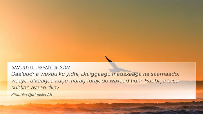 Samuu'eel Labaad 1:16 SOM Bible Verse Image