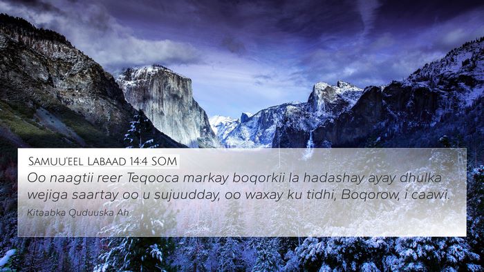 Samuu'eel Labaad 14:4 SOM Bible Verse Image