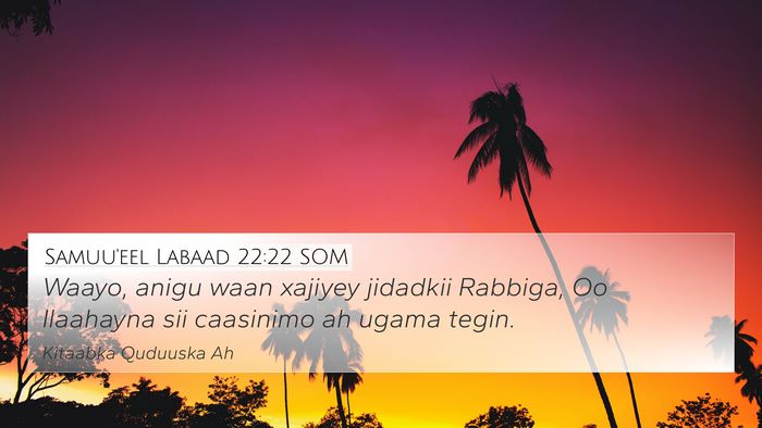 Samuu'eel Labaad 22:22 SOM 4K Wallpaper - Waayo, anigu waan xajiyey jidadkii Rabbiga, Oo - 4K Wallpaper Bible Verse