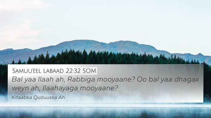 Samuu'eel Labaad 22:32 SOM Bible Verse Image