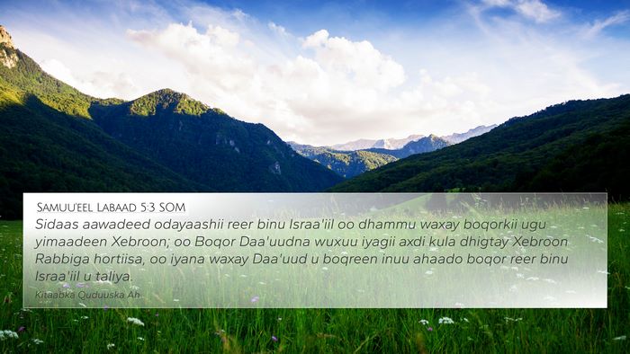 Samuu'eel Labaad 5:3 SOM Bible Verse Image