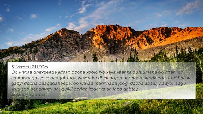 Sefanyaah 2:14 SOM Bible Verse Image