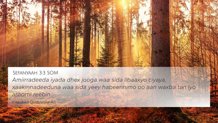 Sefanyaah 3:3 SOM Bible Verse Image