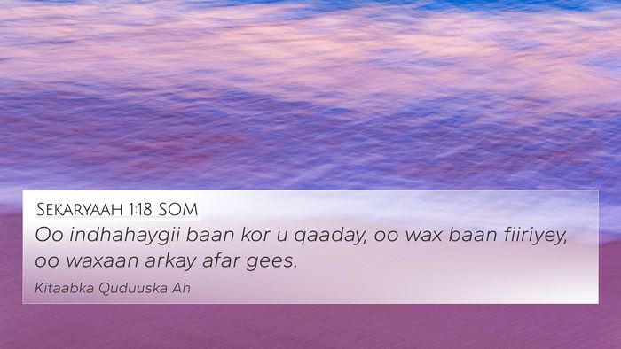 Sekaryaah 1:18 SOM Bible Verse Image