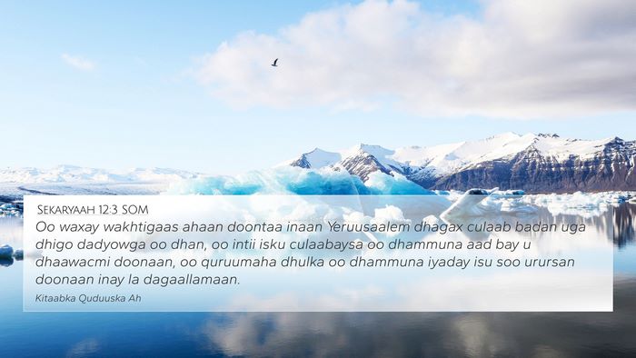 Sekaryaah 12:3 SOM Bible Verse Image