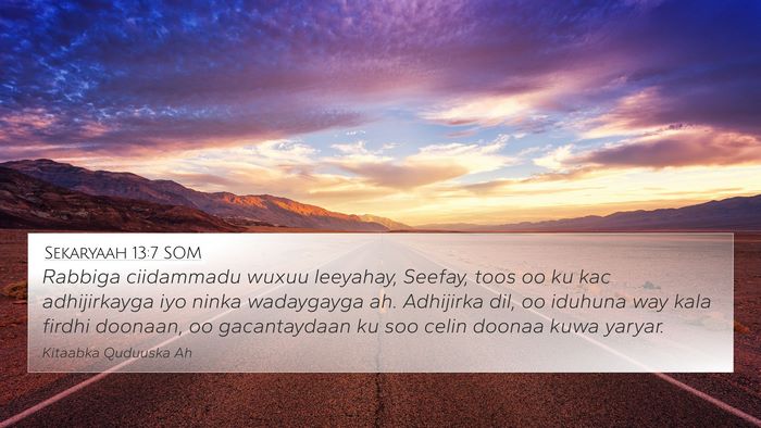 Sekaryaah 13:7 SOM Bible Verse Image