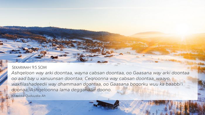 Sekaryaah 9:5 SOM Bible Verse Image