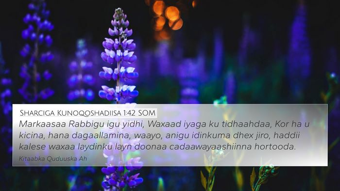 Sharciga Kunoqoshadiisa 1:42 SOM Bible Verse Image