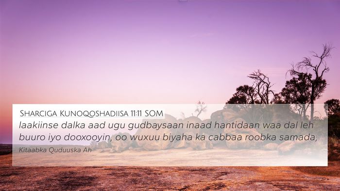 Sharciga Kunoqoshadiisa 11:11 SOM Bible Verse Image