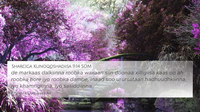 Sharciga Kunoqoshadiisa 11:14 SOM Bible Verse Image