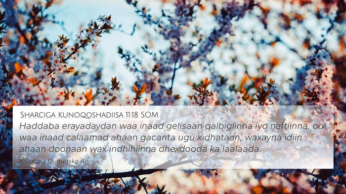 Sharciga Kunoqoshadiisa 11:18 SOM Bible Verse Image