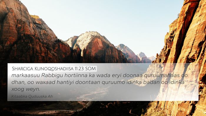 Sharciga Kunoqoshadiisa 11:23 SOM Bible Verse Image