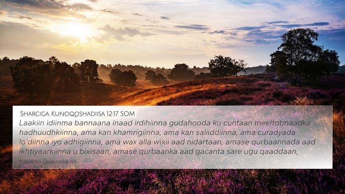 Sharciga Kunoqoshadiisa 12:17 SOM Bible Verse Image