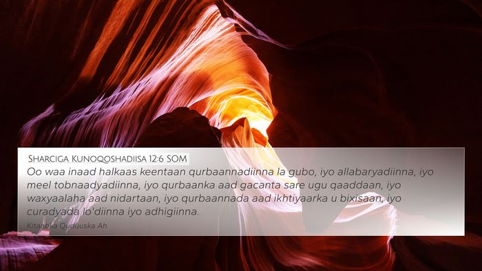 Sharciga Kunoqoshadiisa 12:6 SOM Bible Verse Image