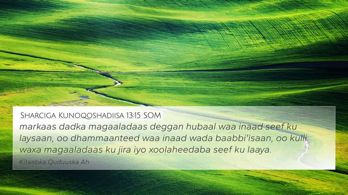 Sharciga Kunoqoshadiisa 13:15 SOM Bible Verse Image