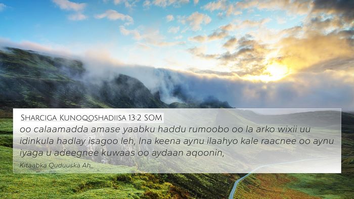 Sharciga Kunoqoshadiisa 13:2 SOM Bible Verse Image