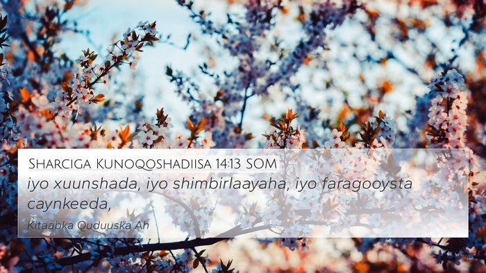 Sharciga Kunoqoshadiisa 14:13 SOM 4K Wallpaper - iyo xuunshada, iyo shimbirlaayaha, iyo - 4K Wallpaper Bible Verse