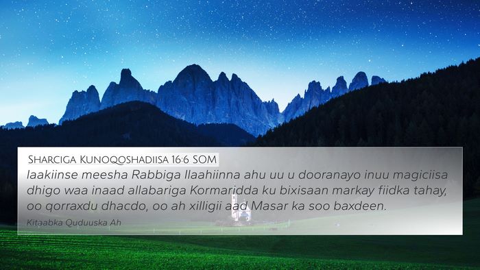 Sharciga Kunoqoshadiisa 16:6 SOM Bible Verse Image