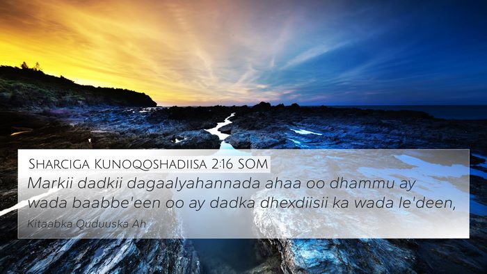 Sharciga Kunoqoshadiisa 2:16 SOM 4K Wallpaper - Markii dadkii dagaalyahannada ahaa oo dhammu ay - 4K Wallpaper Bible Verse
