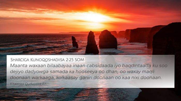 Sharciga Kunoqoshadiisa 2:25 SOM Bible Verse Image