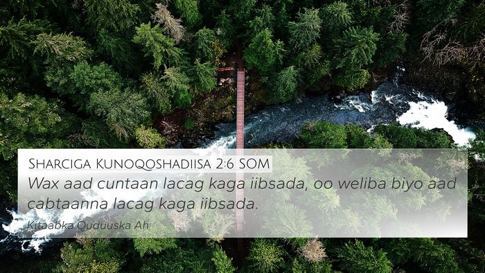 Sharciga Kunoqoshadiisa 2:6 SOM 4K Wallpaper - Wax aad cuntaan lacag kaga iibsada, oo weliba - 4K Wallpaper Bible Verse