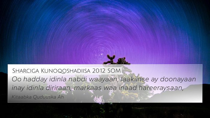 Sharciga Kunoqoshadiisa 20:12 SOM 4K Wallpaper - Oo hadday idinla nabdi waayaan, laakiinse ay - 4K Wallpaper Bible Verse