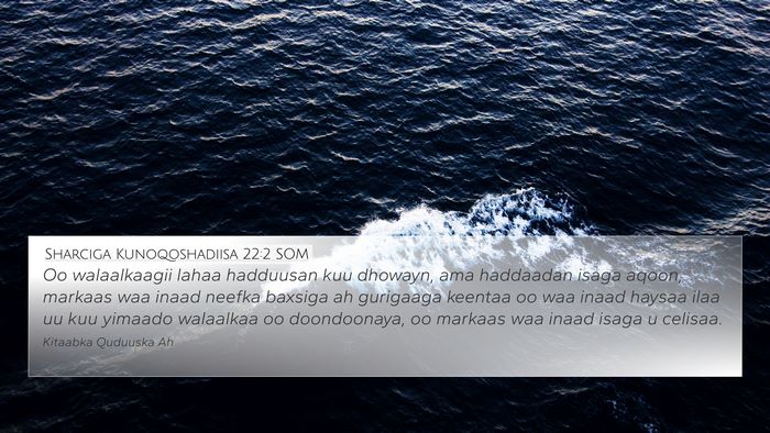 Sharciga Kunoqoshadiisa 22:2 SOM 4K Wallpaper - Oo walaalkaagii lahaa hadduusan kuu dhowayn, ama - 4K Wallpaper Bible Verse