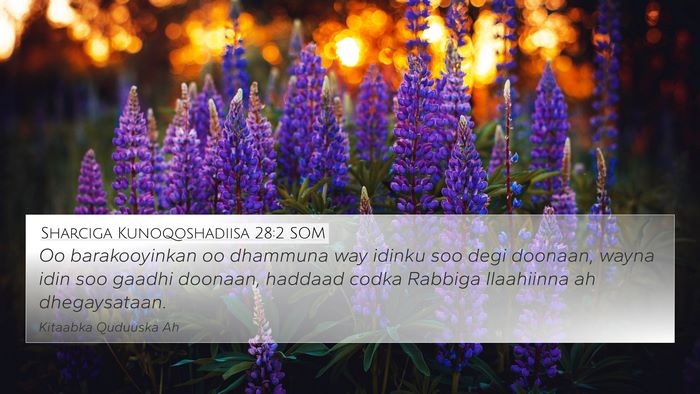 Sharciga Kunoqoshadiisa 28:2 SOM Bible Verse Image