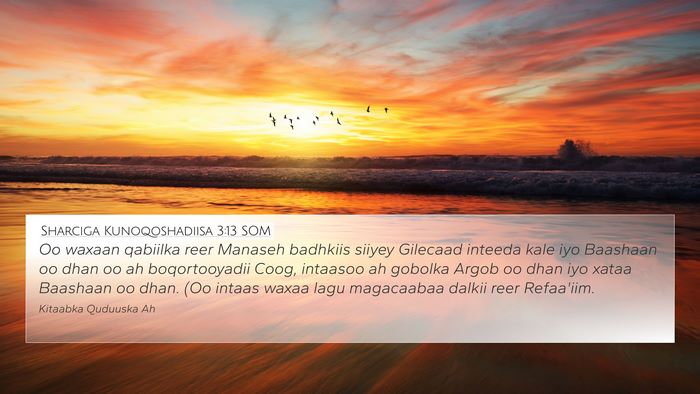 Sharciga Kunoqoshadiisa 3:13 SOM Bible Verse Image