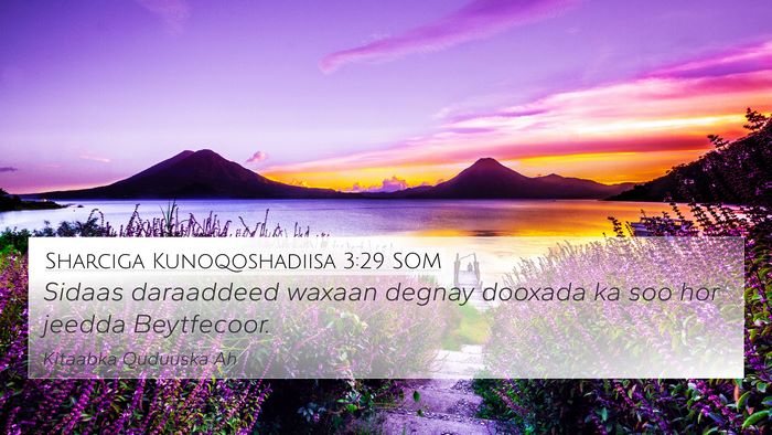 Sharciga Kunoqoshadiisa 3:29 SOM Bible Verse Image