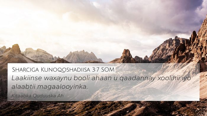Sharciga Kunoqoshadiisa 3:7 SOM 4K Wallpaper - Laakiinse waxaynu booli ahaan u qaadannay - 4K Wallpaper Bible Verse
