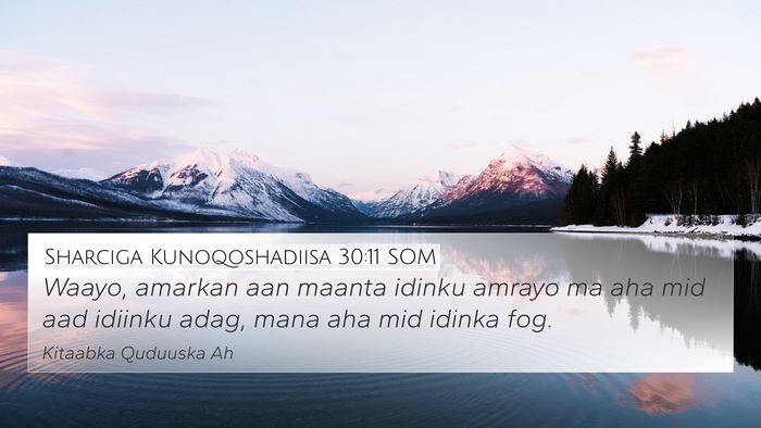 Sharciga Kunoqoshadiisa 30:11 SOM Bible Verse Image