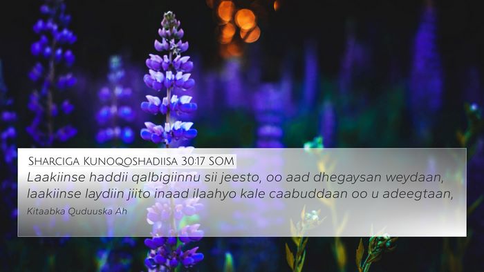 Sharciga Kunoqoshadiisa 30:17 SOM Bible Verse Image