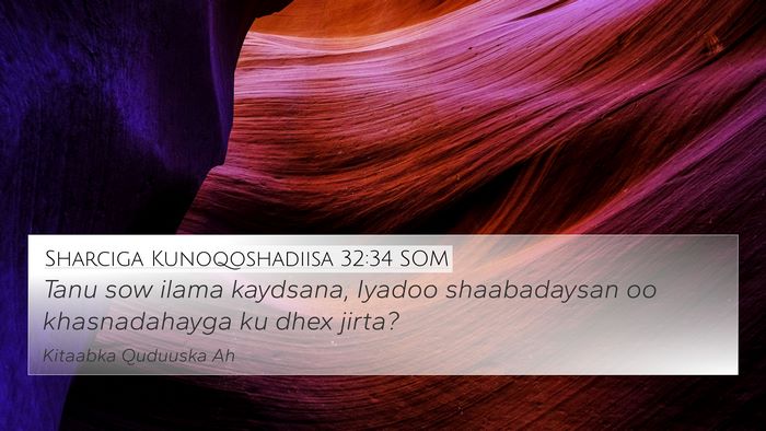 Sharciga Kunoqoshadiisa 32:34 SOM Bible Verse Image